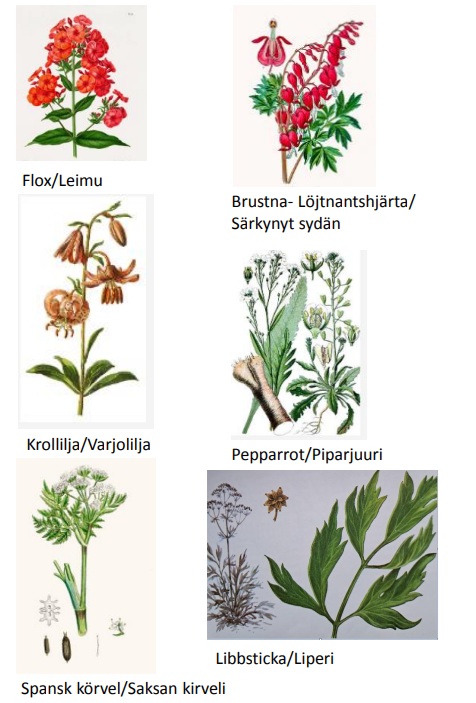 Urval blommor